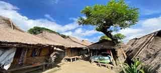 desa-sade-1