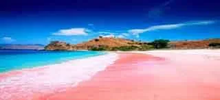 pantai-pink-2.jpg